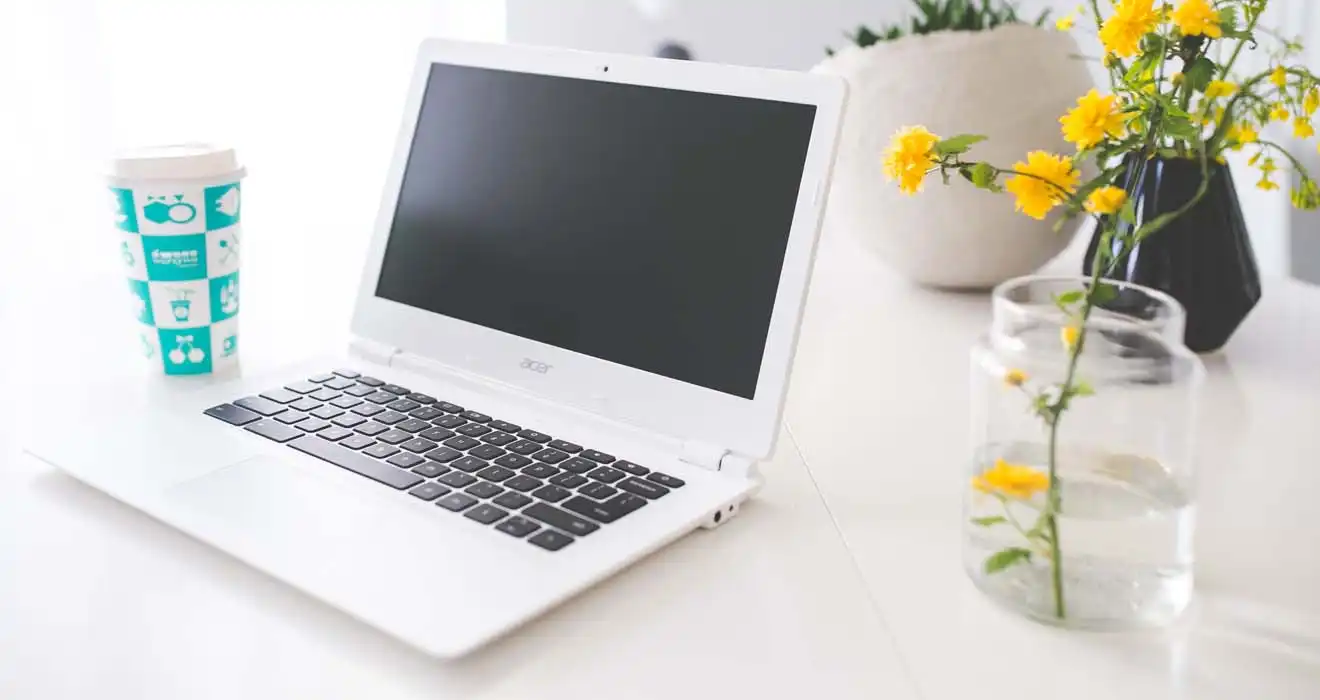 Ремонт ноутбуков Acer в Ступино